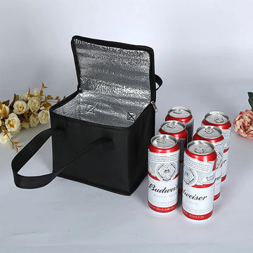 Folding Lunch Cooler Bag